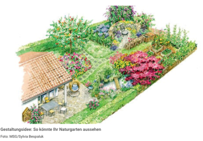Biodiversität im Hausgarten – Theorie und Praxis